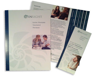 InSight: Brochure / folder / insert